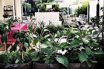 Residenza D-Place Ponchielli ريتشيوني